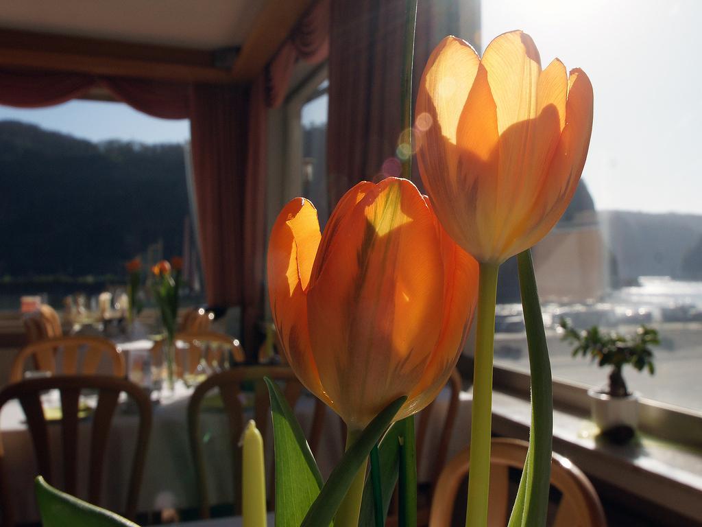 Hotel Cafe Restaurant Loreleyblick Sankt Goar Luaran gambar